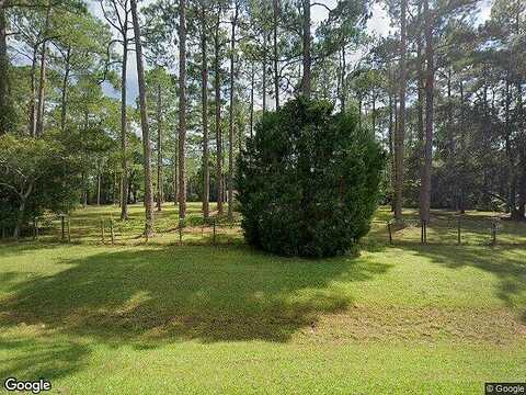 Gum Swamp, LAKE CITY, FL 32055