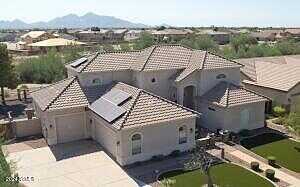Palomino, QUEEN CREEK, AZ 85142