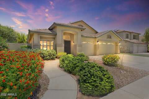 Piccadilly, GOODYEAR, AZ 85395