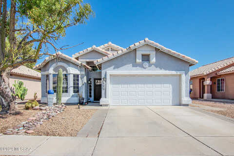 Safflower, TUCSON, AZ 85743