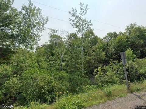 Fir, BIRCHWOOD, WI 54817