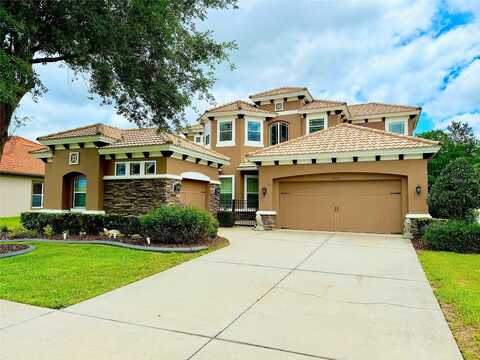 Creedmoor, NEW PORT RICHEY, FL 34654