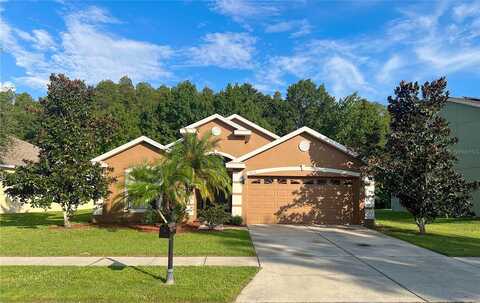 Sweet William, LAND O LAKES, FL 34639