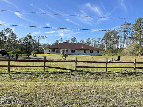 White Spruce, ORMOND BEACH, FL 32174