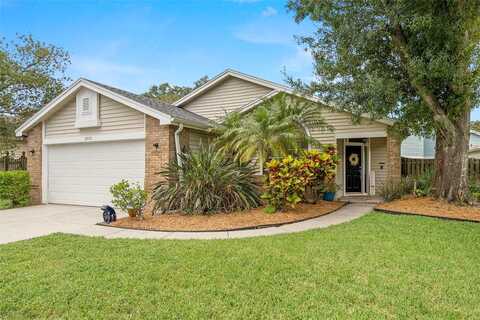 Deer, PALM HARBOR, FL 34684