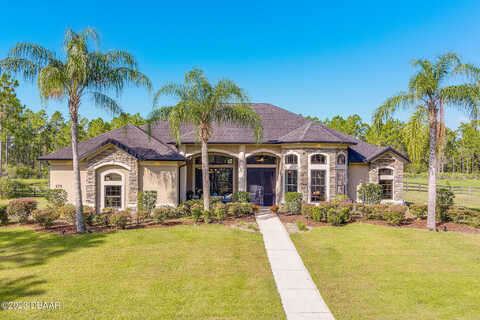 Farrier, NEW SMYRNA BEACH, FL 32168