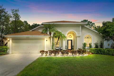 Palm Breeze, TAMPA, FL 33647
