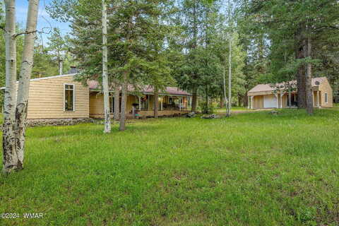 County Road 2043, ALPINE, AZ 85920