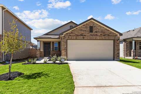 Winston, NEW BRAUNFELS, TX 78130