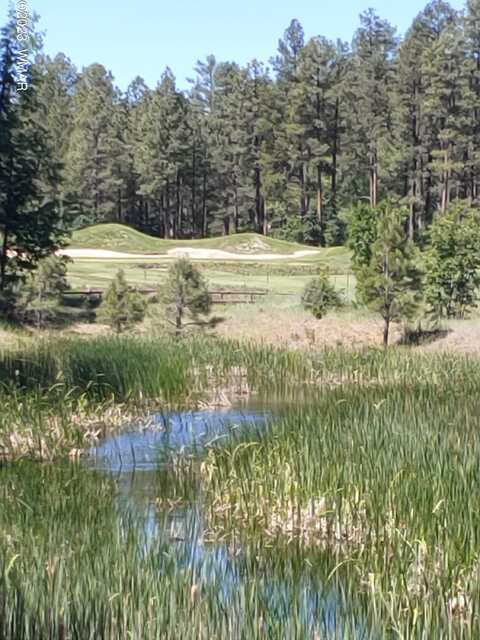 S Rockcress Lane, Show Low, AZ 85901