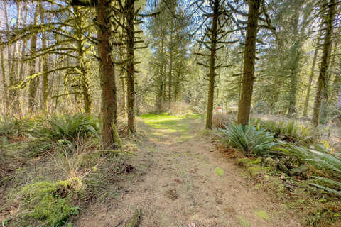 Wilson River, TILLAMOOK, OR 97141