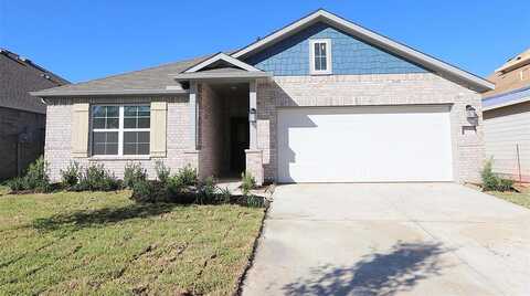 Silver Birch Court, New Caney, TX 77357