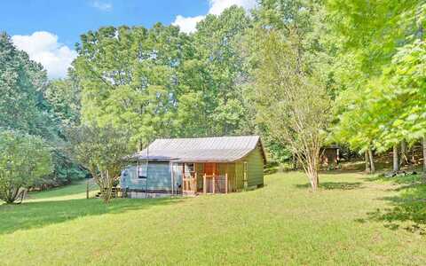 Cottonwood Lane, Blue Ridge, GA 30513