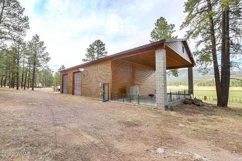 County Road N2261, Alpine, AZ 85920