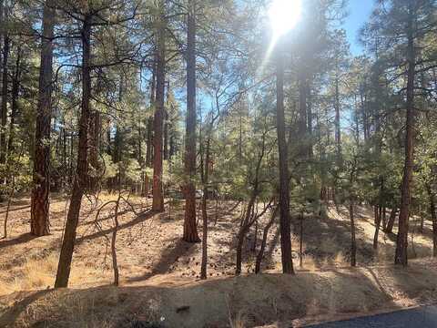 Friendly Pines, PRESCOTT, AZ 86303