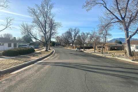 Pheasant, COLORADO SPRINGS, CO 80909