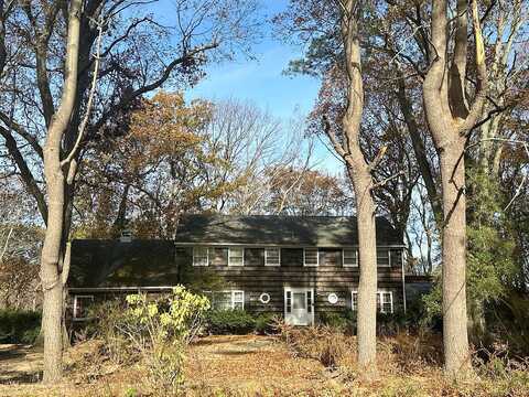 Beaver, LOCUST VALLEY, NY 11560