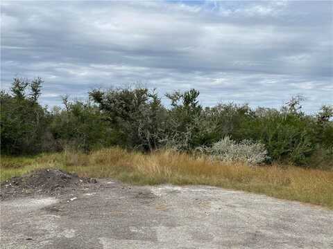 000 Hidden Circle, Sandia, TX 78383