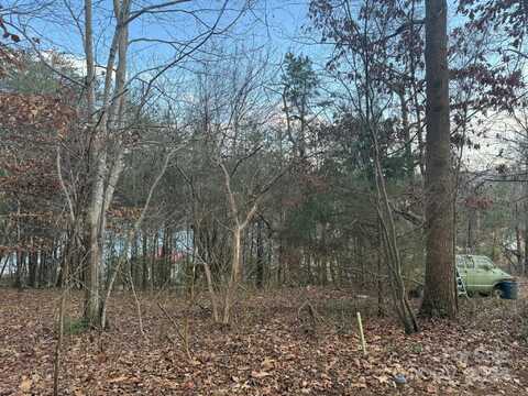 3 Crappie Cove Lane, Hickory, NC 28681