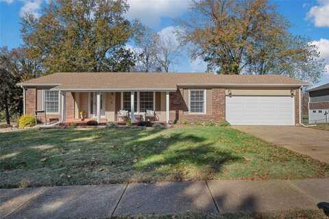 6585 Lakeside Hills Dr, Florissant, MO 63033