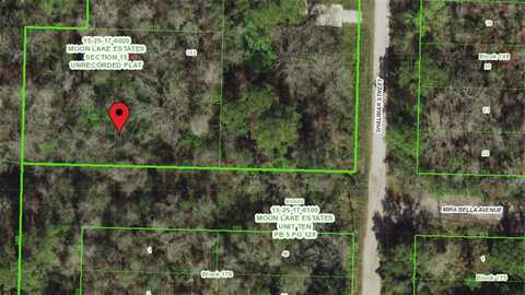 MIRA BELLA AVE, NEW PORT RICHEY, FL 34654