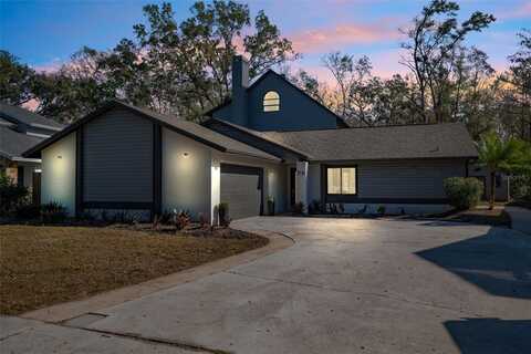 2730 LAKEVILLE DRIVE, TAMPA, FL 33618