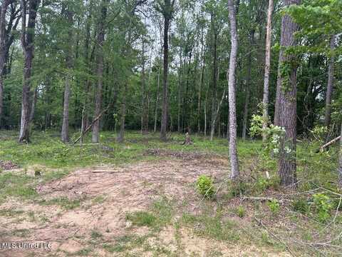 Bridgewater Bend Bend, Ridgeland, MS 39157