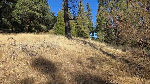 0 unknown, Cedarpines Park, CA 92322