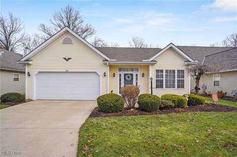 1441 Hollow Wood Lane, Avon, OH 44011