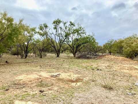 25ac Tract 2 Hwy 6, Moran, TX 76464