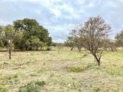 25ac Tract 5 FM 880, Moran, TX 76464