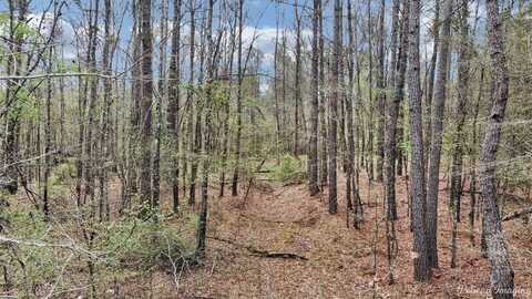 1274 Oliver Road Lot 14, Haughton, LA 71037