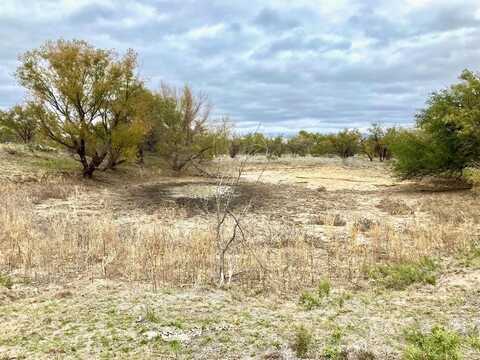 25ac Tract 1 Hwy 6, Moran, TX 76464