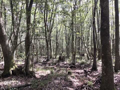 0 Landfield Road, Chatom, AL 36518