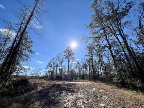 0 Landfield Road, Chatom, AL 36518