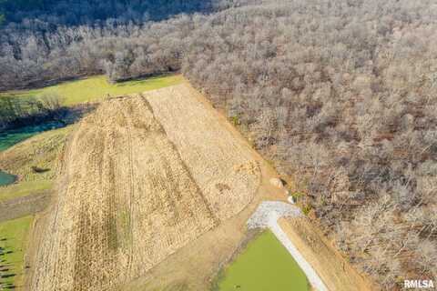 4868 Foxtail Ln 0 Lane, Tamaroa, IL 62888