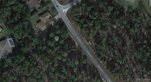 14 Statice Court, Homosassa, FL 34446