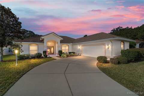 1540 N YAZ Point, Hernando, FL 34442
