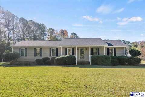 1010 Harvey Rd., Effingham, SC 29541