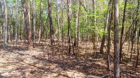 Lot 130 Harbor Landing DR, Moneta, VA 24121