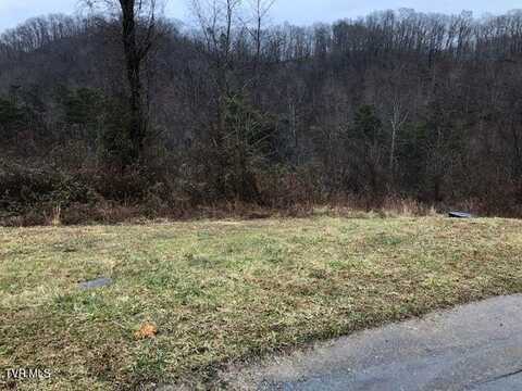 104 West Wilkshire Place, Bristol, TN 37620