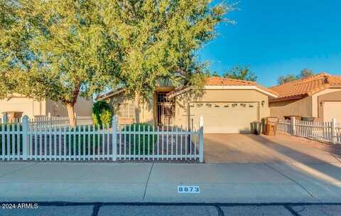 8873 N 114TH Drive, Peoria, AZ 85345