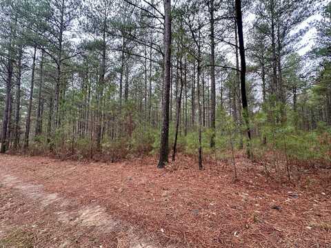 00 Constellation Court, Guild, TN 37340