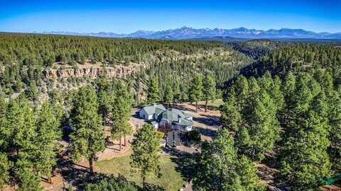 203 Yeoman Drive, Pagosa Springs, CO 81147