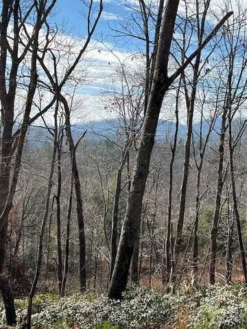 Orchard View Trail unit: 11, Spruce Pine, NC 28777
