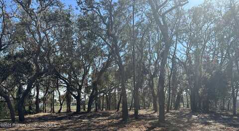 8362 Eric Street, Spring Hill, FL 34608