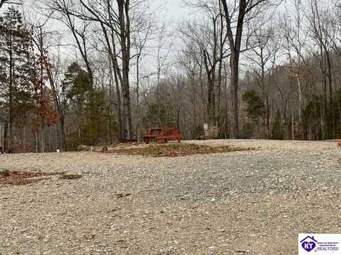 56 Hillcrest Drive, Falls Of Rough, KY 40119