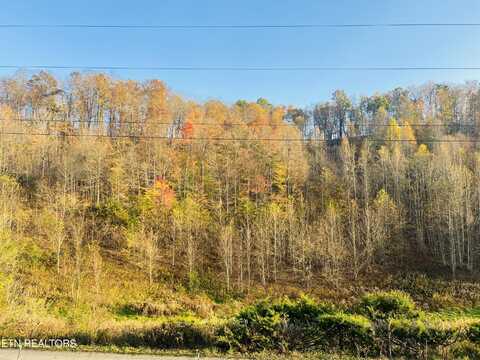 2021 Sherm Mountain Road Rd, Sneedville, TN 37869