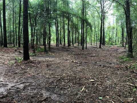 Lot 7 LEE ROAD 39, BEAUREGARD, AL 36804