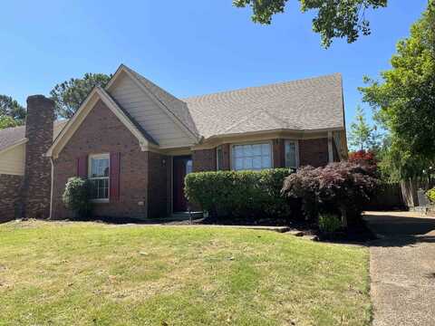 1167 SCARLET TANAGER, Collierville, TN 38017